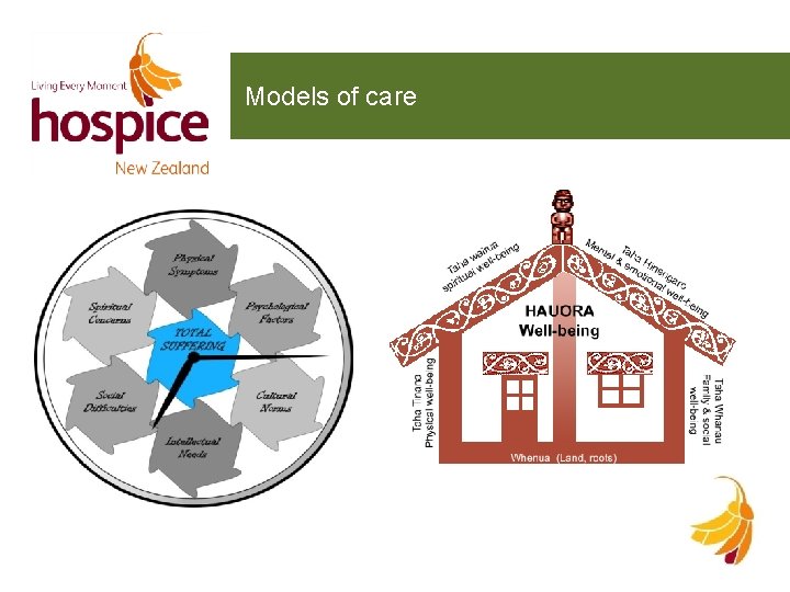 Models of care 