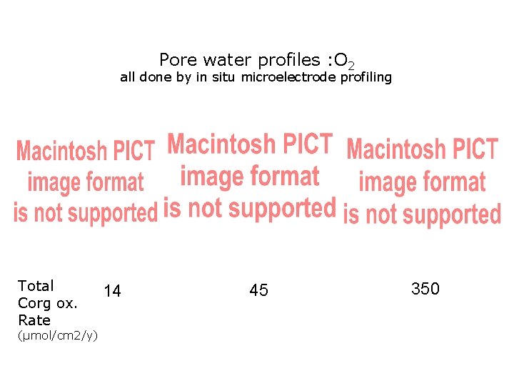 Pore water profiles : O 2 all done by in situ microelectrode profiling Total