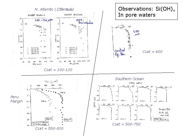 N. Atlantic (�Bermuda) Observations: Si(OH)4 In pore waters Csat = 600 Csat = 100
