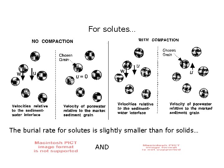 For solutes… The burial rate for solutes is slightly smaller than for solids… AND