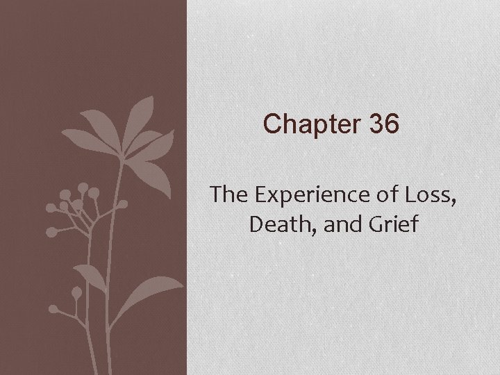 Chapter 36 The Experience of Loss, Death, and Grief 