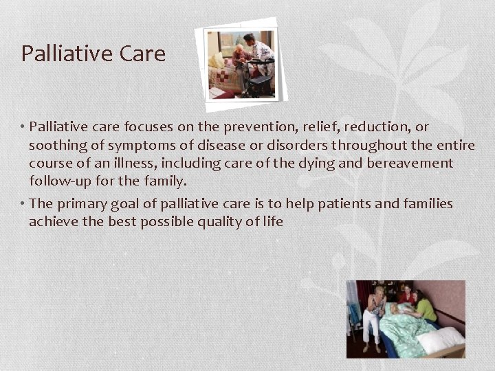Palliative Care • Palliative care focuses on the prevention, relief, reduction, or soothing of