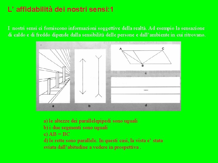 L’ affidabilità dei nostri sensi: 1 I nostri sensi ci forniscono informazioni soggettive della