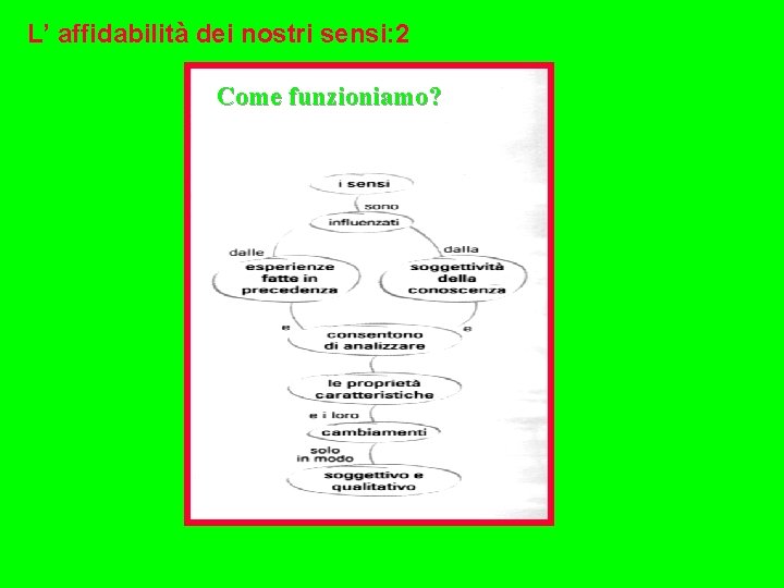 L’ affidabilità dei nostri sensi: 2 Come funzioniamo? 