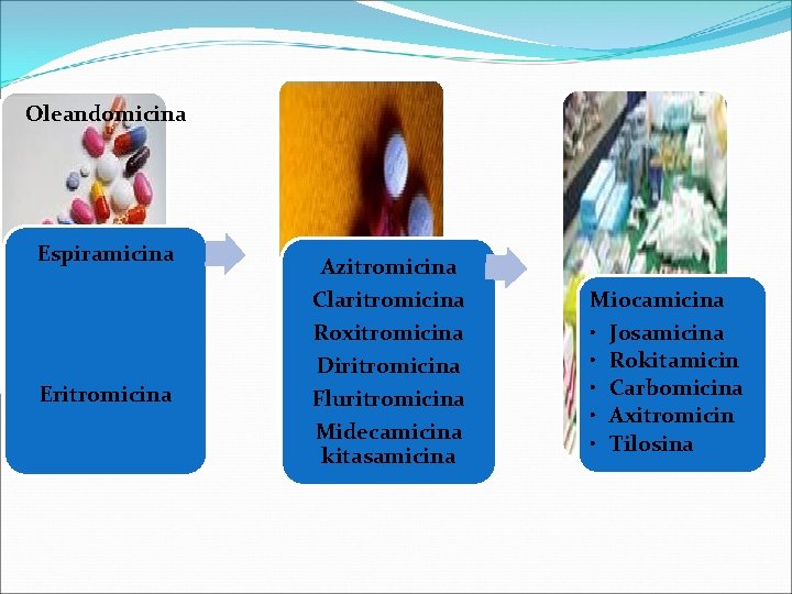 Oleandomicina Espiramicina Eritromicina Azitromicina Claritromicina Roxitromicina Diritromicina Fluritromicina Midecamicina kitasamicina Miocamicina • • •