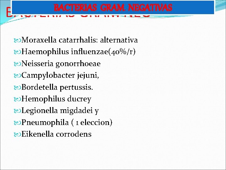 BACTERIAS GRAM NEGATIVAS Moraxella catarrhalis: alternativa Haemophilus influenzae(40%/r) Neisseria gonorrhoeae Campylobacter jejuni, Bordetella pertussis.