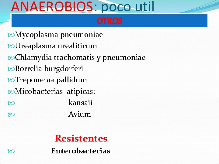 ANAEROBIOS: poco util OTROS Mycoplasma pneumoniae Ureaplasma urealiticum Chlamydia trachomatis y pneumoniae Borrelia burgdorferi