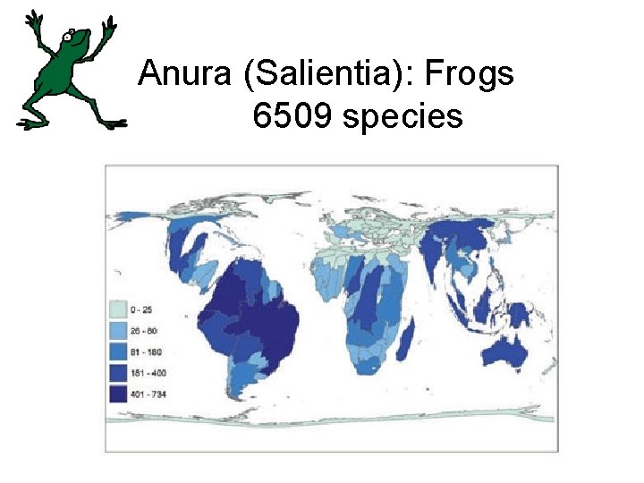 Anura (Salientia): Frogs 6509 species 