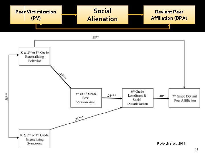 Peer Victimization (PV) Study 1: Social Alienation Deviant Peer Affiliation (DPA) Rudolph et al.
