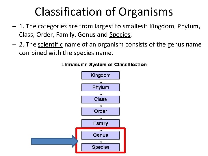 Genuses Marine Biology Ocean Habitats A There are two