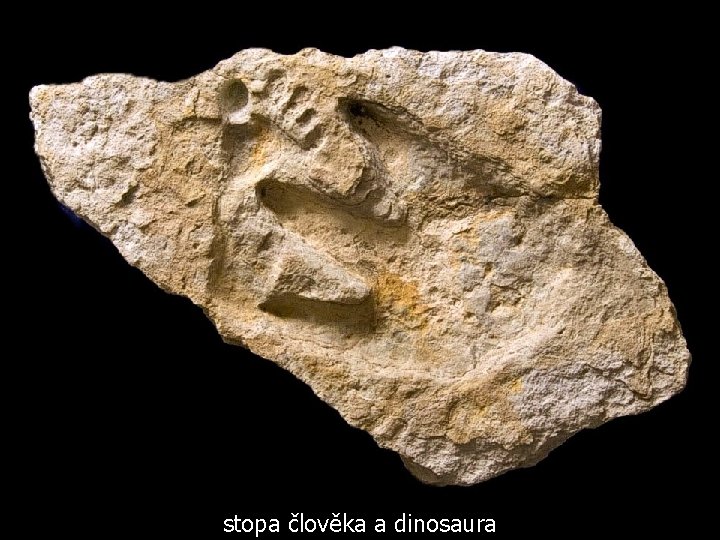 stopa člověka a dinosaura 