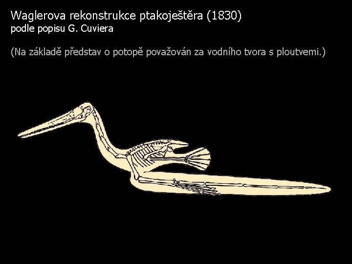 Waglerova rekonstrukce ptakoještěra (1830) podle popisu G. Cuviera (Na základě představ o potopě považován