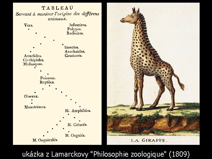 ukázka z Lamarckovy "Philosophie zoologique" (1809) 