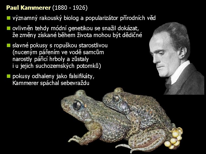 Paul Kammerer (1880 - 1926) n významný rakouský biolog a popularizátor přírodních věd n