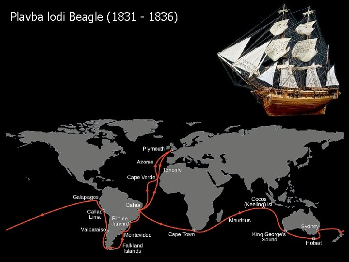 Plavba lodi Beagle (1831 - 1836) 