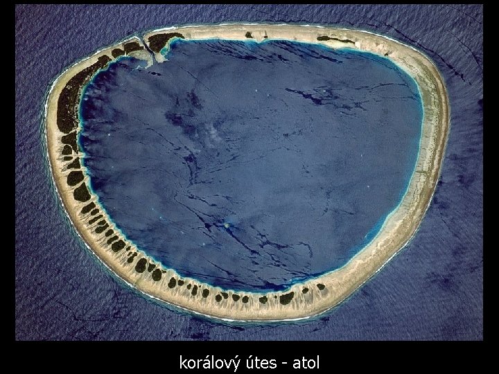 korálový útes - atol 