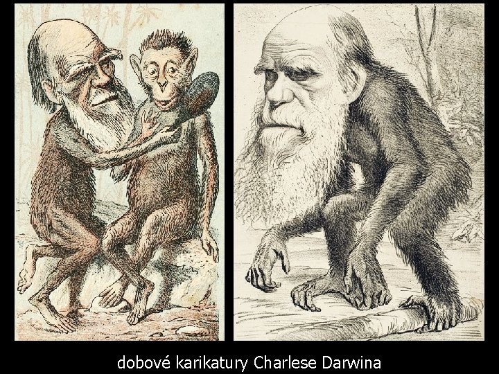 dobové karikatury Charlese Darwina 