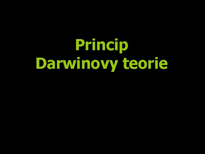 Princip Darwinovy teorie 
