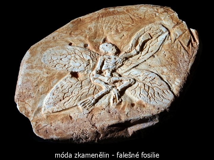 móda zkamenělin - falešné fosilie 
