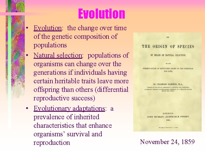 Evolution • Evolution: the change over time of the genetic composition of populations •