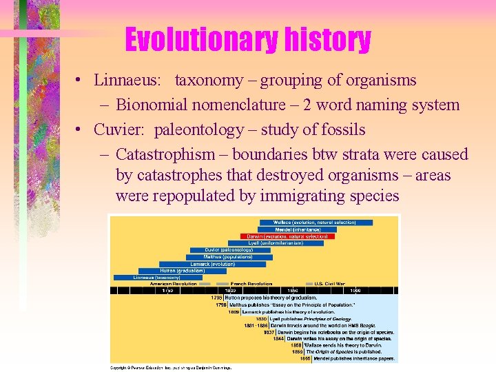 Evolutionary history • Linnaeus: taxonomy – grouping of organisms – Bionomial nomenclature – 2