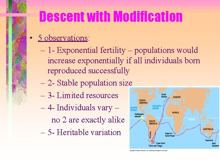 Descent with Modification • 5 observations: – 1 - Exponential fertility – populations would