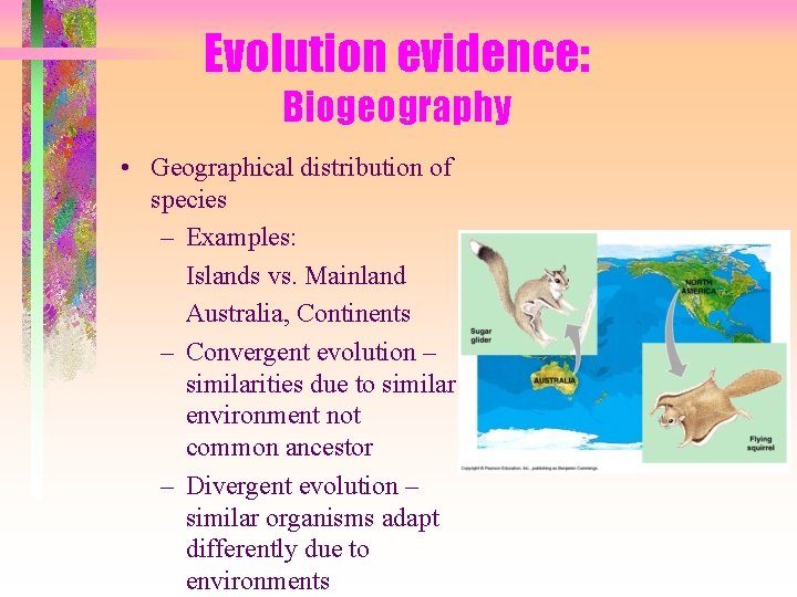 Evolution evidence: Biogeography • Geographical distribution of species – Examples: Islands vs. Mainland Australia,