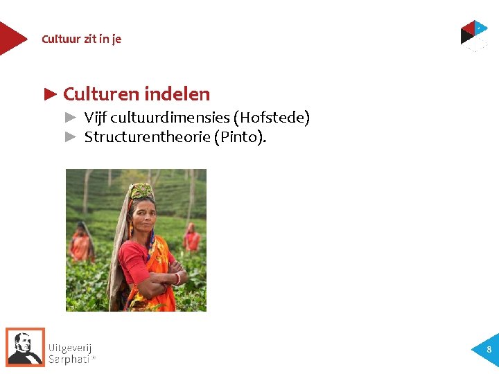 Cultuur zit in je ► Culturen indelen ► Vijf cultuurdimensies (Hofstede) ► Structurentheorie (Pinto).