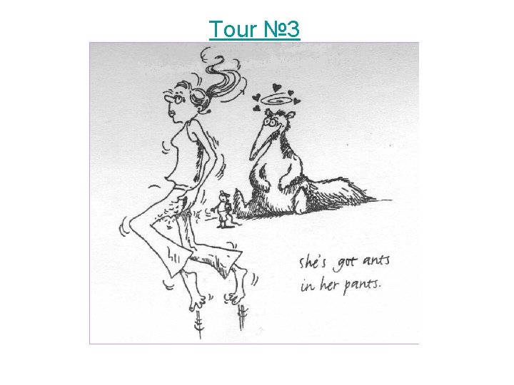 Tour № 3 