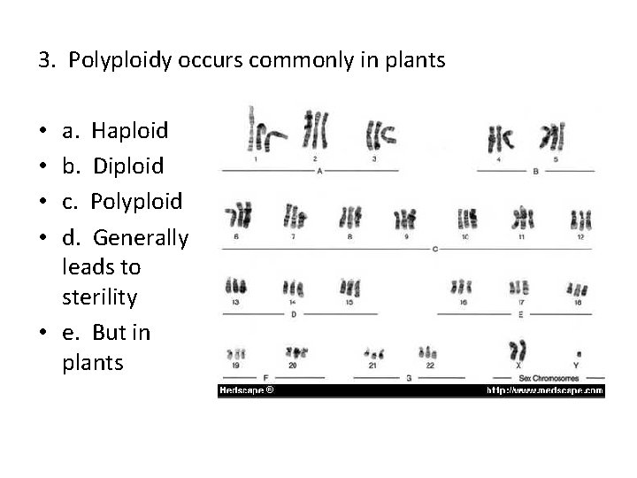 3. Polyploidy occurs commonly in plants a. Haploid b. Diploid c. Polyploid d. Generally