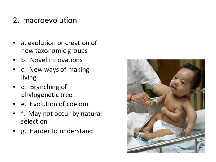 2. macroevolution • a. evolution or creation of new taxonomic groups • b. Novel