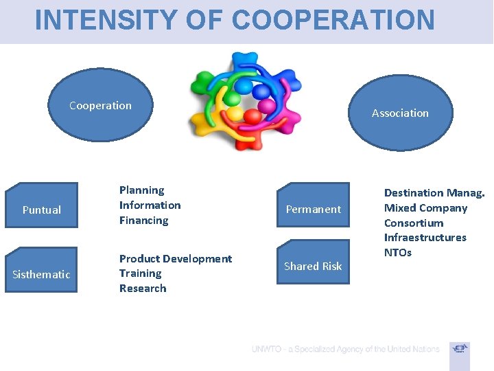 INTENSITY OF COOPERATION Cooperation Puntual Sisthematic Planning Information Financing Product Development Training Research Association