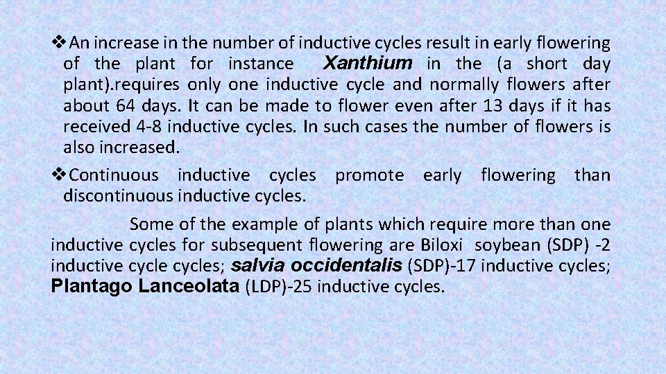 v. An increase in the number of inductive cycles result in early flowering of