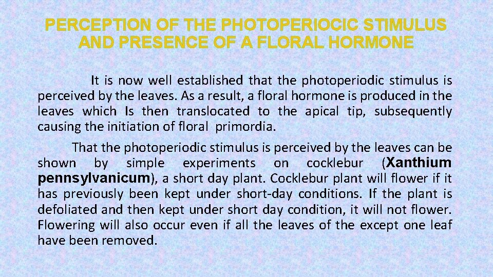 PERCEPTION OF THE PHOTOPERIOCIC STIMULUS AND PRESENCE OF A FLORAL HORMONE It is now
