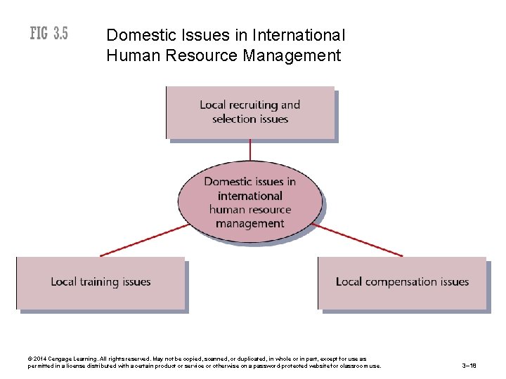 Domestic Issues in International Human Resource Management © 2014 Cengage Learning. All rights reserved.