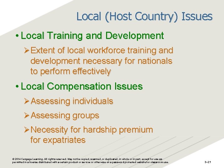 Local (Host Country) Issues • Local Training and Development Ø Extent of local workforce