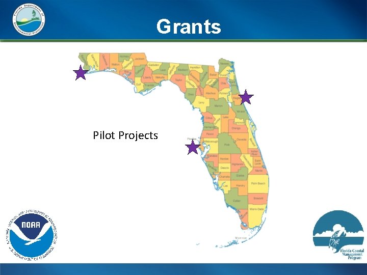 Grants Pilot Projects 