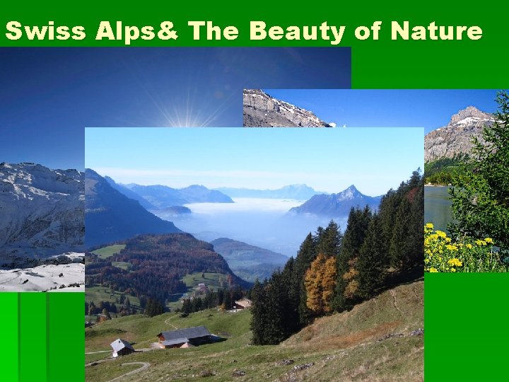 Swiss Alps& The Beauty of Nature 