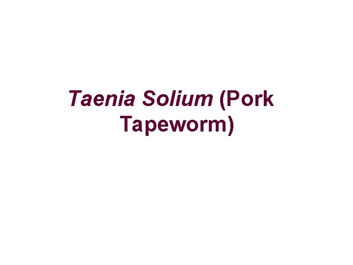 Taenia Solium (Pork Tapeworm) 