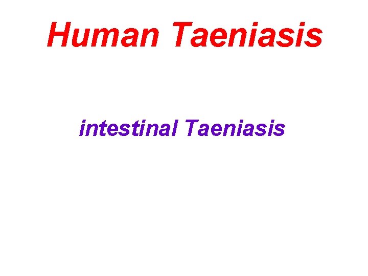 Human Taeniasis intestinal Taeniasis 