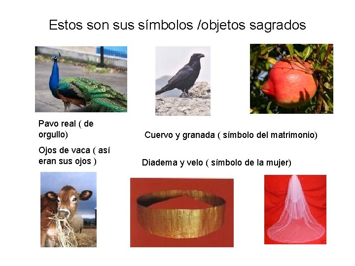 Estos son sus símbolos /objetos sagrados Pavo real ( de orgullo) Ojos de vaca