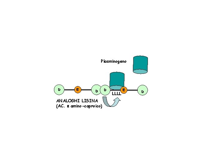 Plasminogeno D E D ANALOGHI LISINA (AC. e amino-caproico) D LLLL E D 