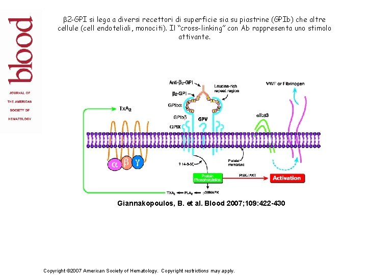 b 2 -GPI si lega a diversi recettori di superficie sia su piastrine (GPIb)