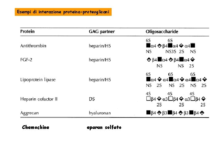 Esempi di interazione proteina-proteoglicani Chemochine eparan solfato 