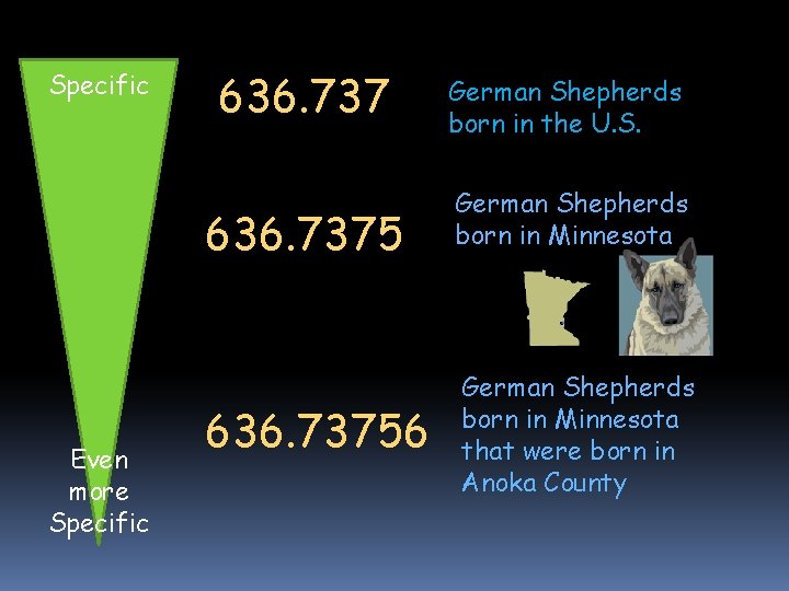Specific 636. 7375 Even more Specific 636. 73756 German Shepherds born in the U.
