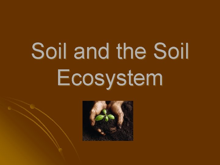 Soil and the Soil Ecosystem 