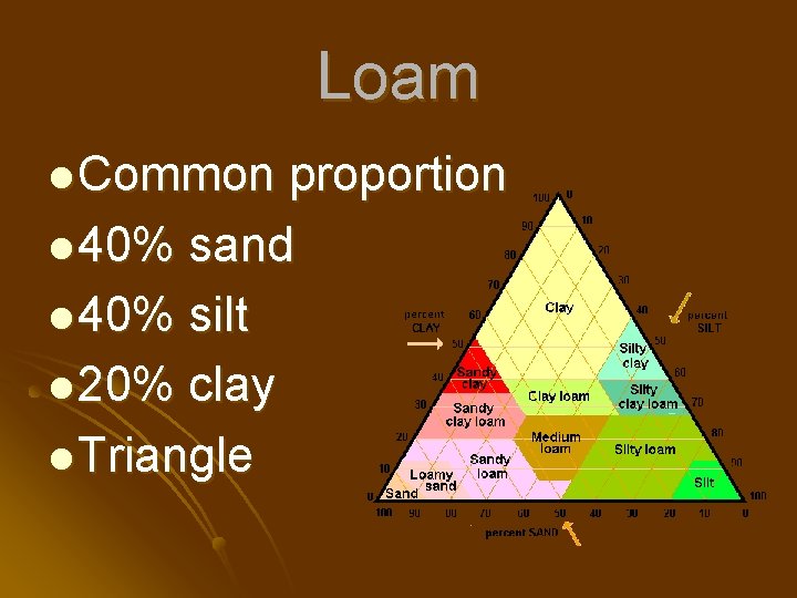 Loam l Common proportion l 40% sand l 40% silt l 20% clay l
