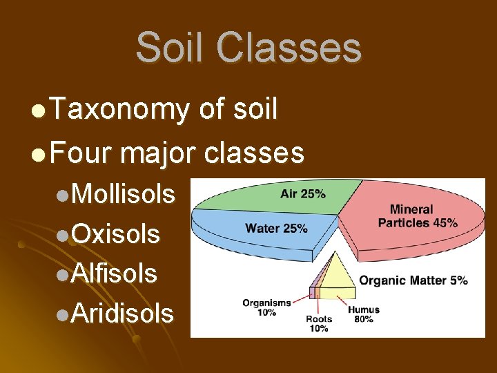 Soil Classes l Taxonomy of soil l Four major classes l. Mollisols l. Oxisols