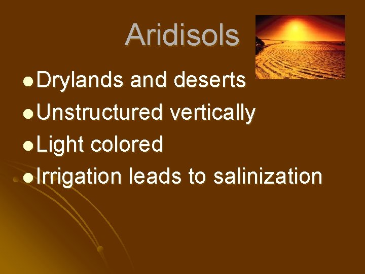 Aridisols l Drylands and deserts l Unstructured vertically l Light colored l Irrigation leads