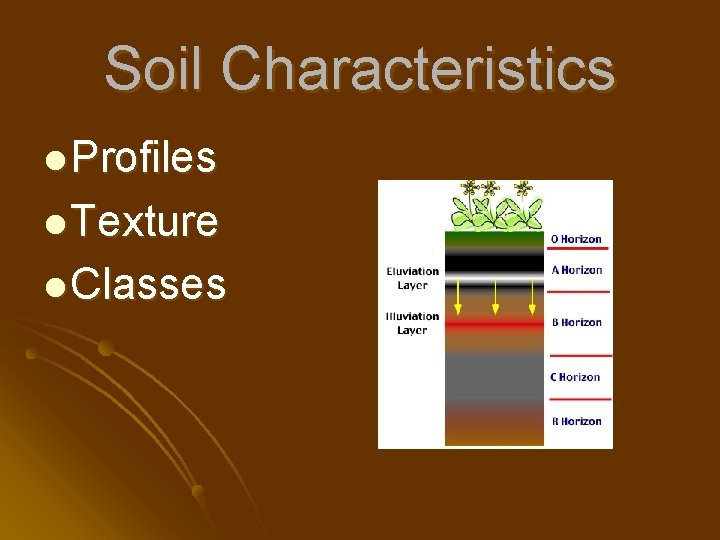 Soil Characteristics l Profiles l Texture l Classes 